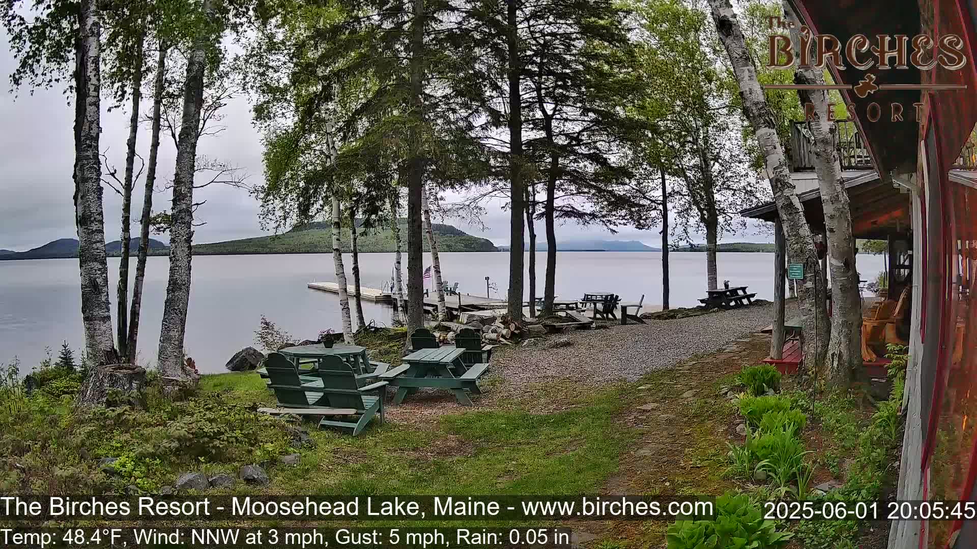 A lakeside patio with picnic tables and a dock is partially visible through birch trees under an overcast sky with light rain.