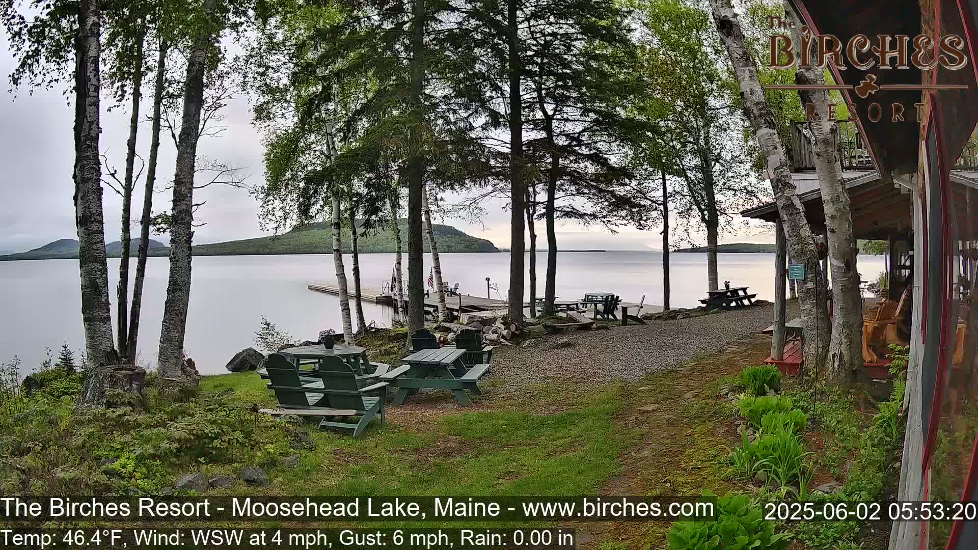 A lakeside patio with picnic tables and chairs sits near a calm lake under an overcast sky, surrounded by birch trees.