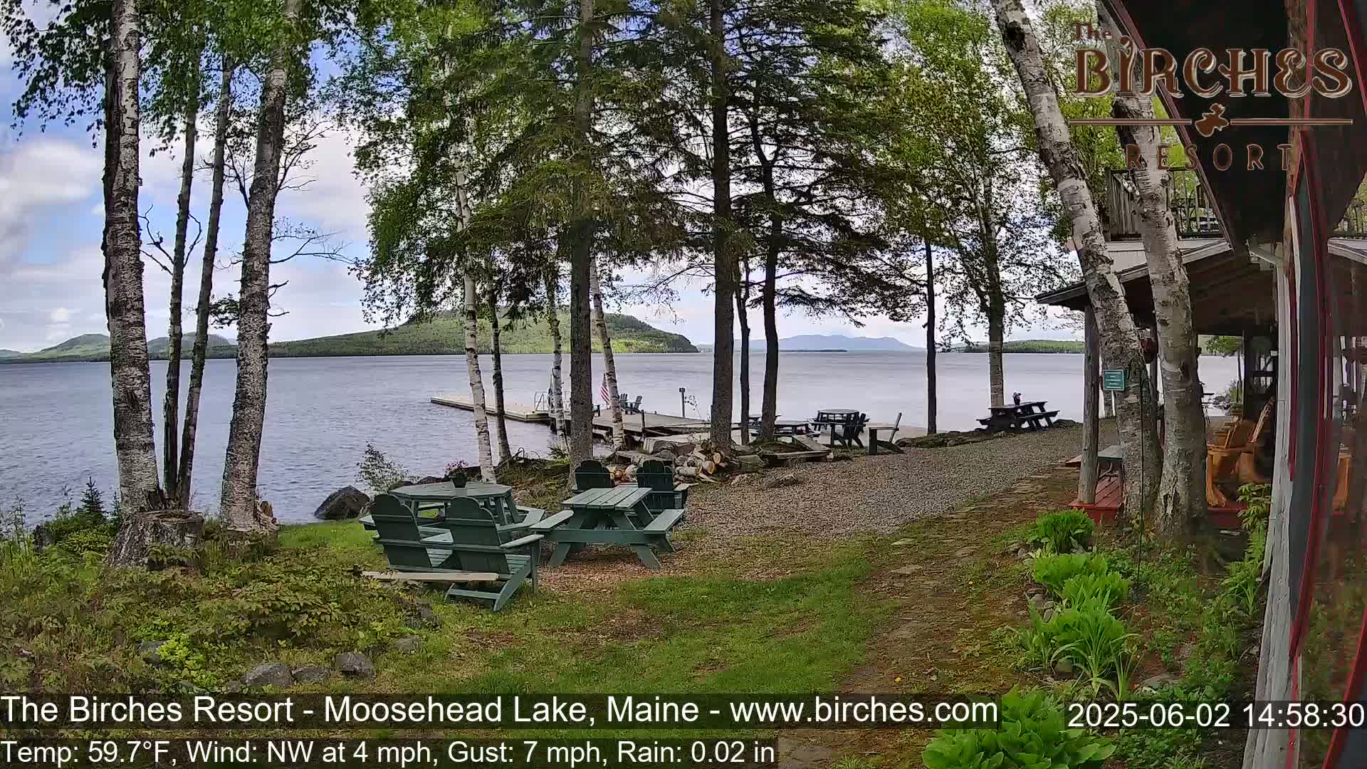 A lakeside resort area with picnic tables and a dock, partially obscured by birch trees under slightly overcast skies with light rain.