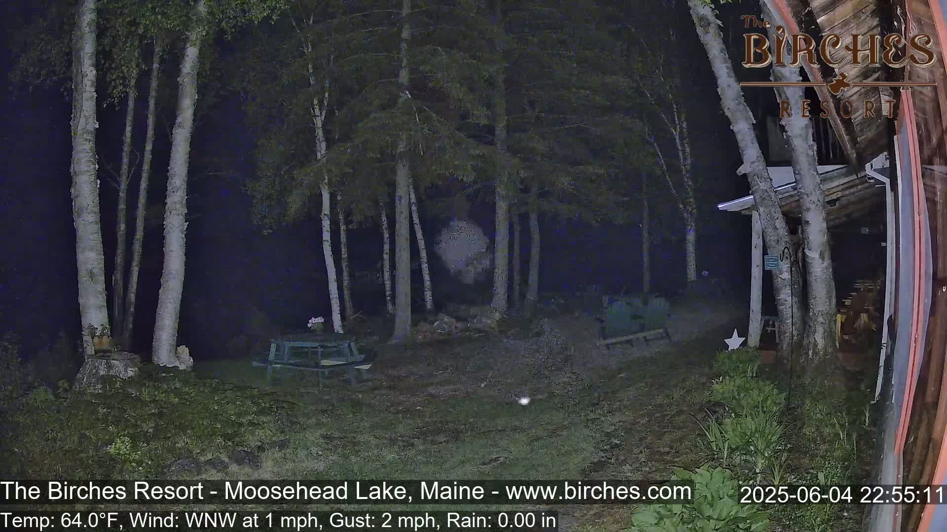 A nighttime scene shows a wooded area with several birch trees, a picnic table, and a building under lightly rainy conditions.