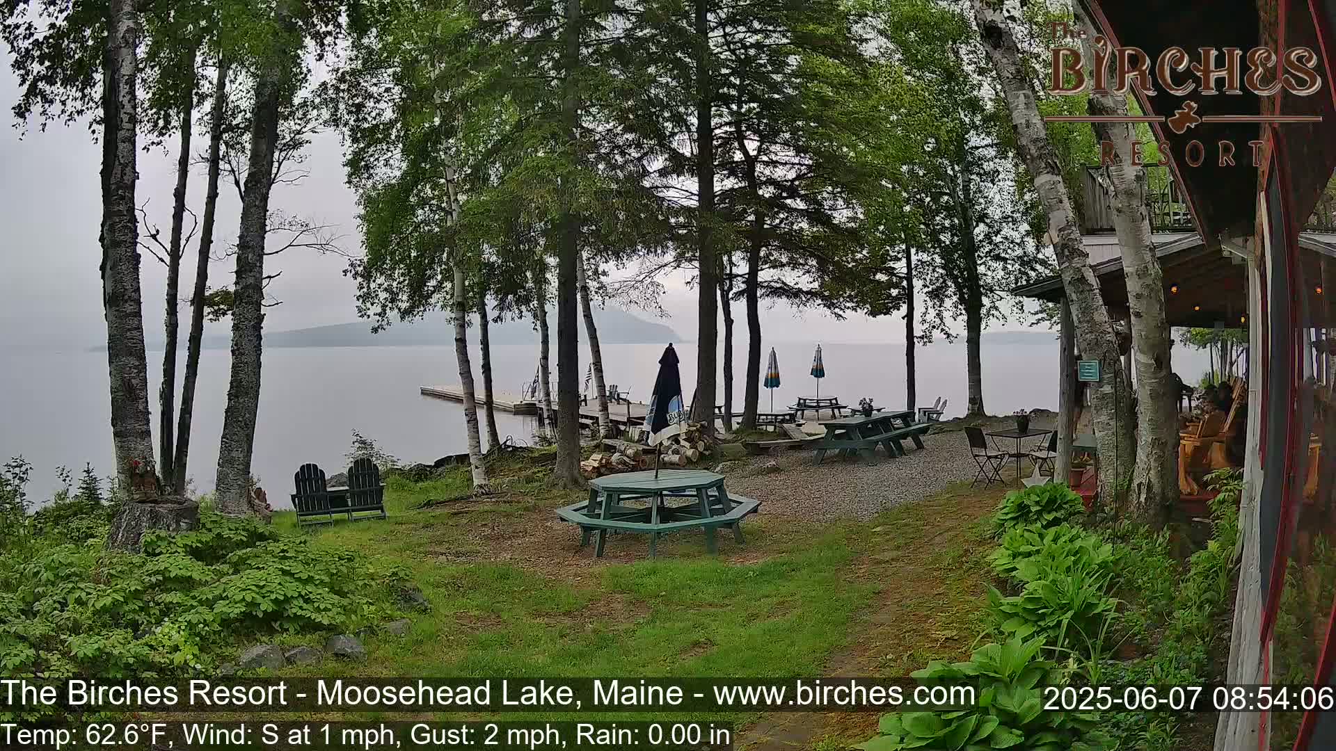 A lakeside patio with picnic tables and chairs under a gray sky, light rain, and surrounded by birch trees.