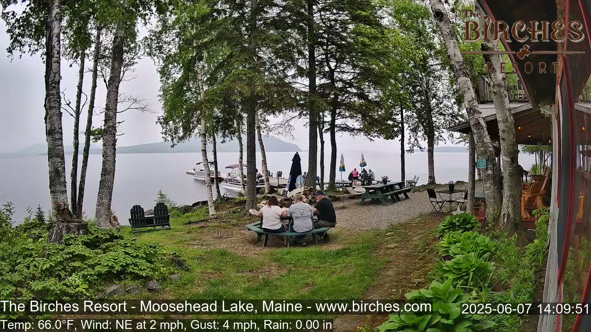 Three people sit at an outdoor table by a lake under a gray sky with light rain, surrounded by birch trees and a lakeside resort.