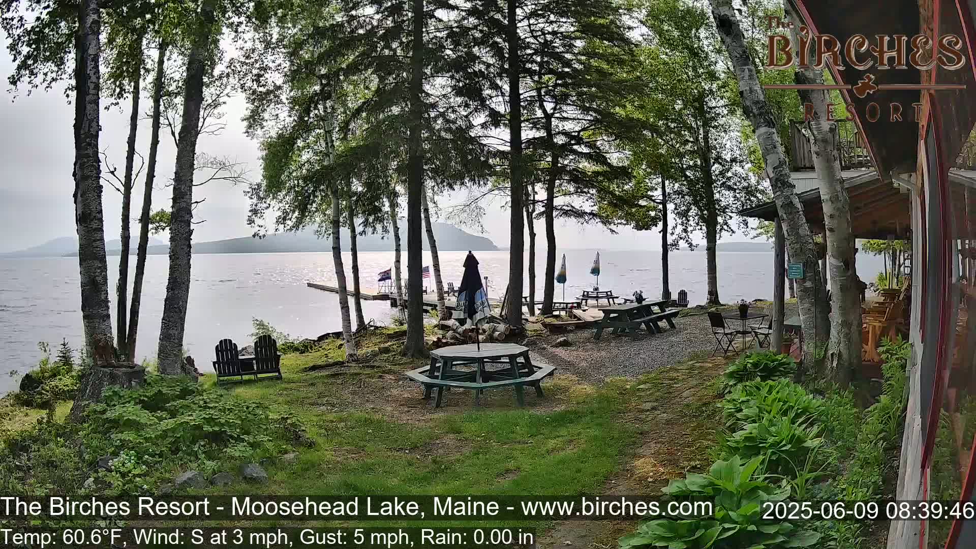 A lakeside patio with picnic tables and chairs is partially shaded by birch trees on a partly cloudy day.