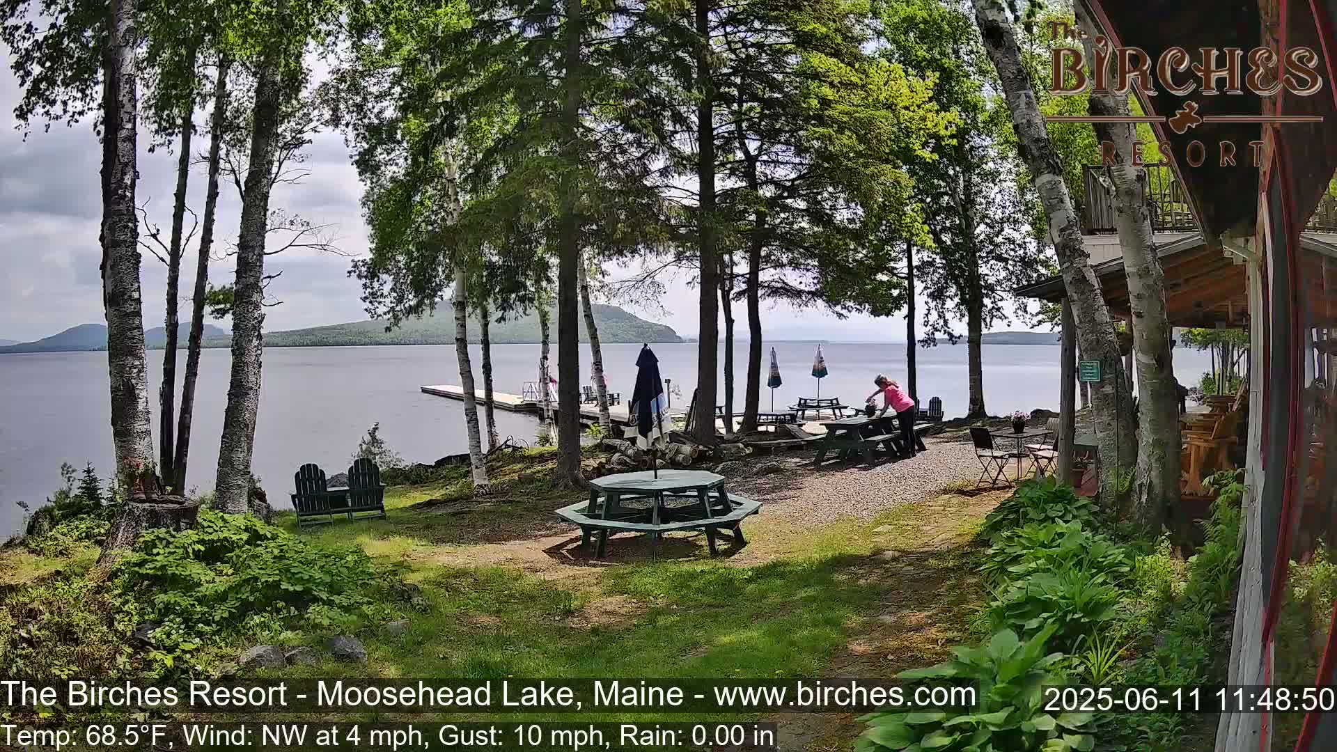 A lakeside patio scene with picnic tables, Adirondack chairs, and a person near a table, partially obscured by birch trees under a partly cloudy sky.