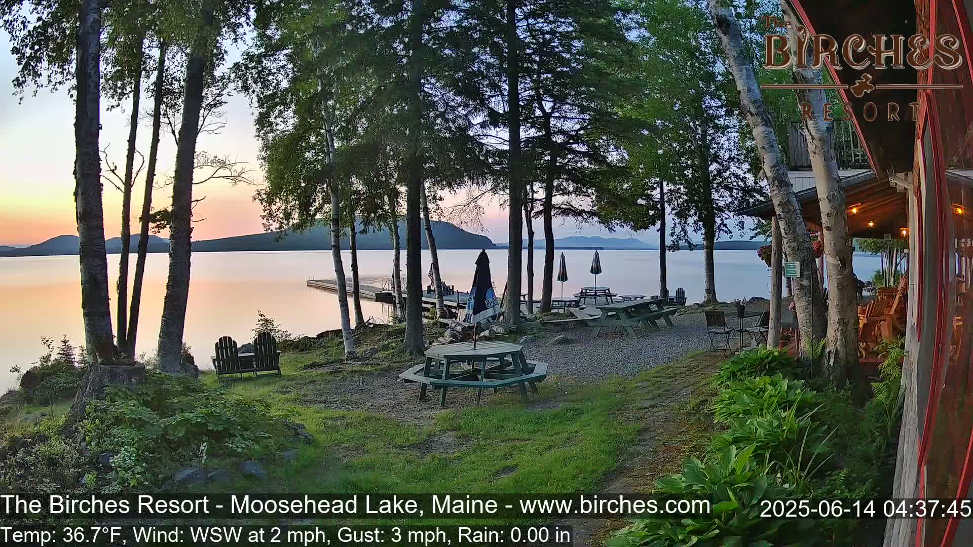A lakeside patio with picnic tables and umbrellas sits under a twilight sky near a calm lake, bordered by birch trees.