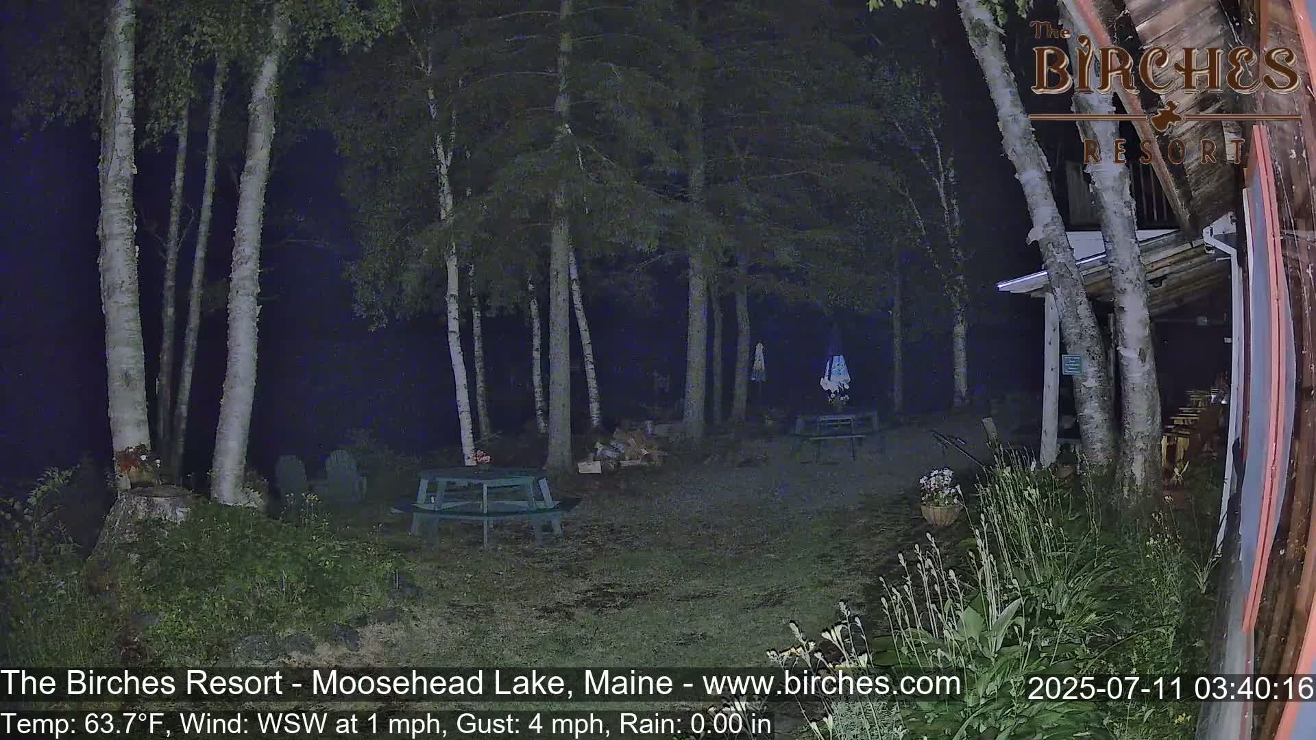A nighttime scene shows a gravel area with picnic tables under birch trees, with calm weather conditions.