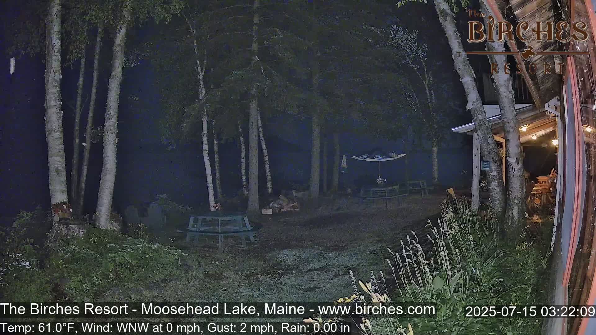 A nighttime outdoor scene shows a sparsely lit gravel area with picnic tables, surrounded by birch trees in the rain.