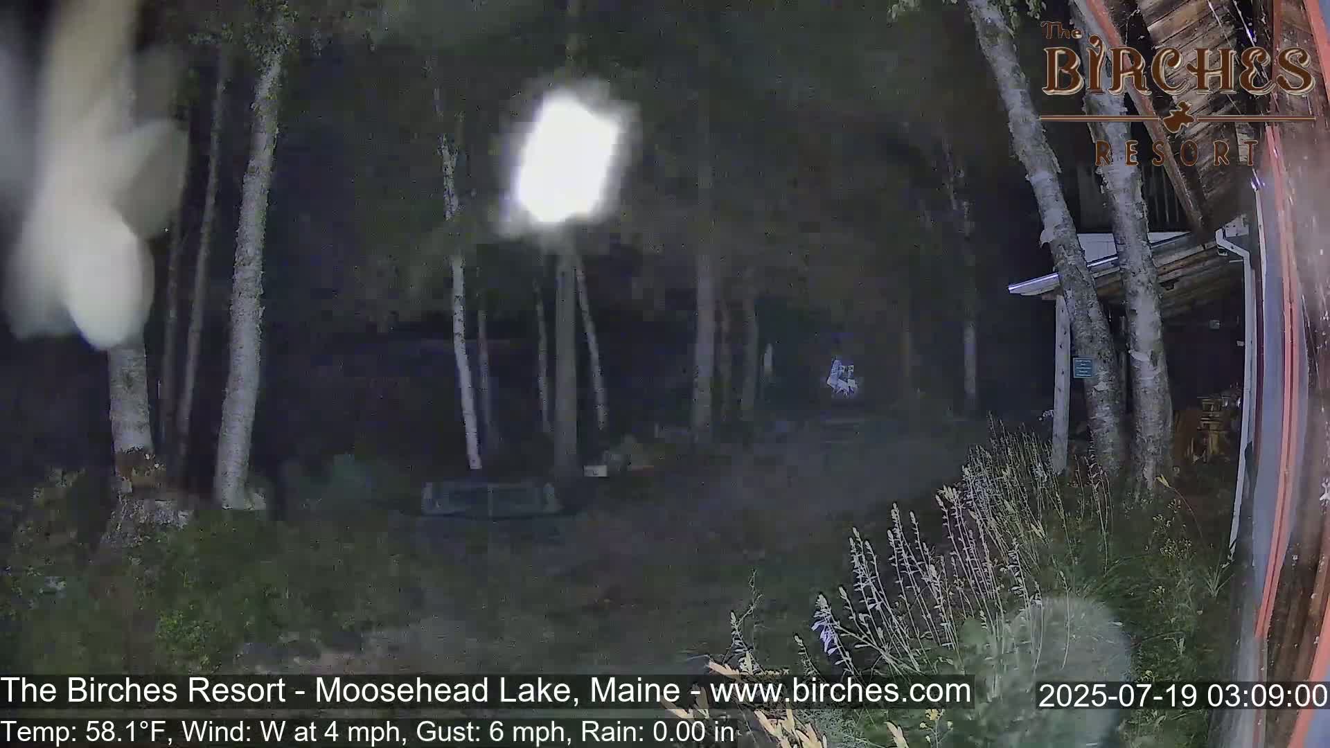 A nighttime, dimly lit outdoor scene shows a wooded area with a building and some vegetation under rainy conditions.