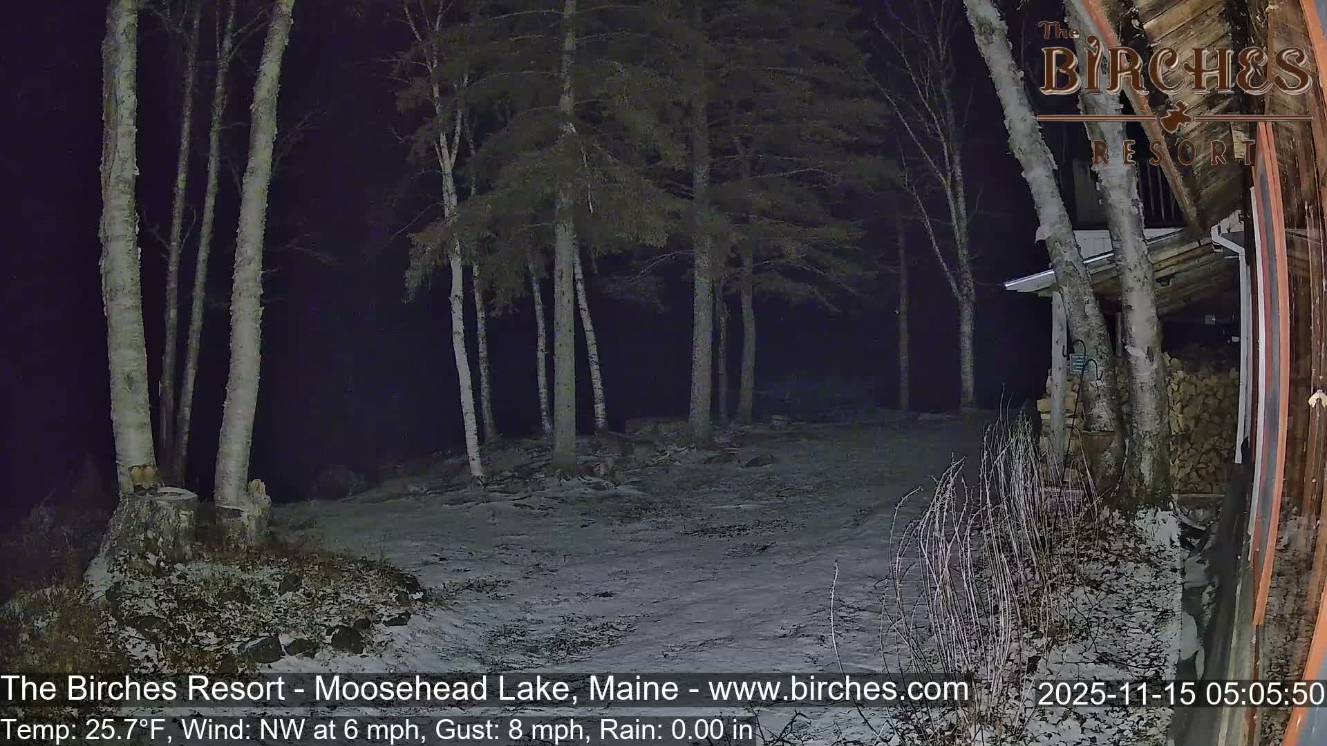 A night scene shows a light dusting of snow on the ground amidst a forest of deciduous and evergreen trees, with a rustic building and stacked firewood on the right, under clear and cold conditions.