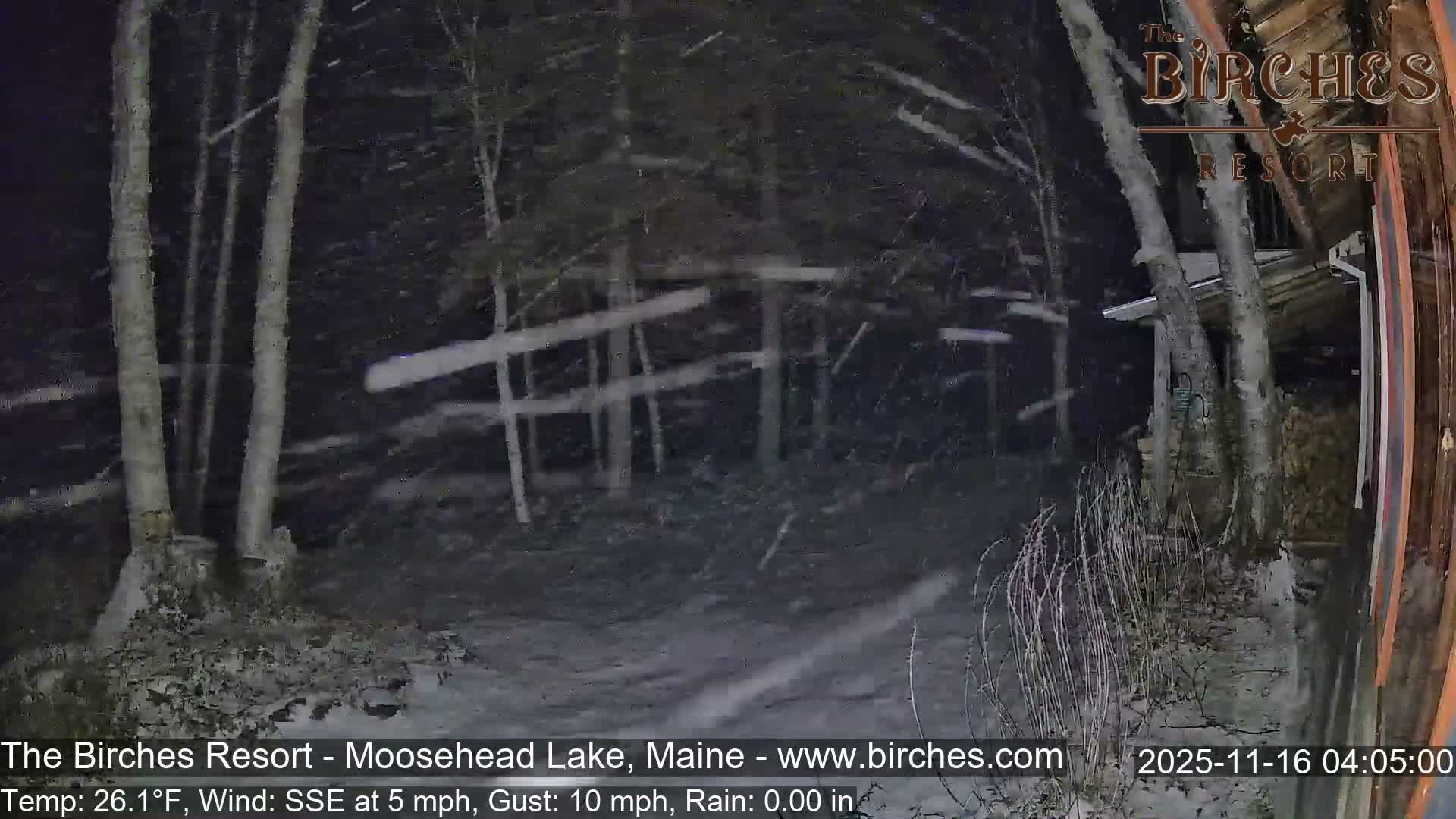 A rustic building is visible through bare trees in a snow-covered forest at night, with light snow falling.