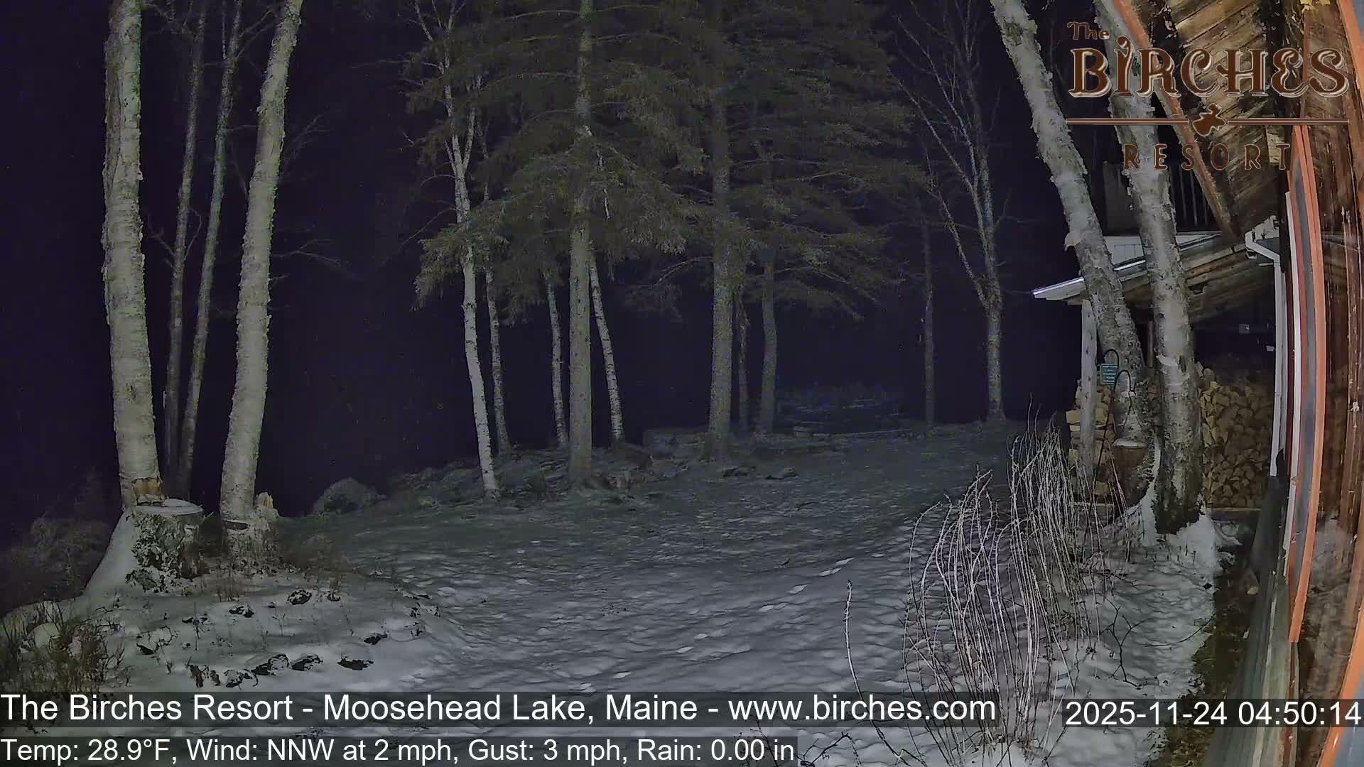 The image displays a dark, clear winter night with a thin layer of snow covering the ground among numerous trees, with a rustic building partially visible on the right.