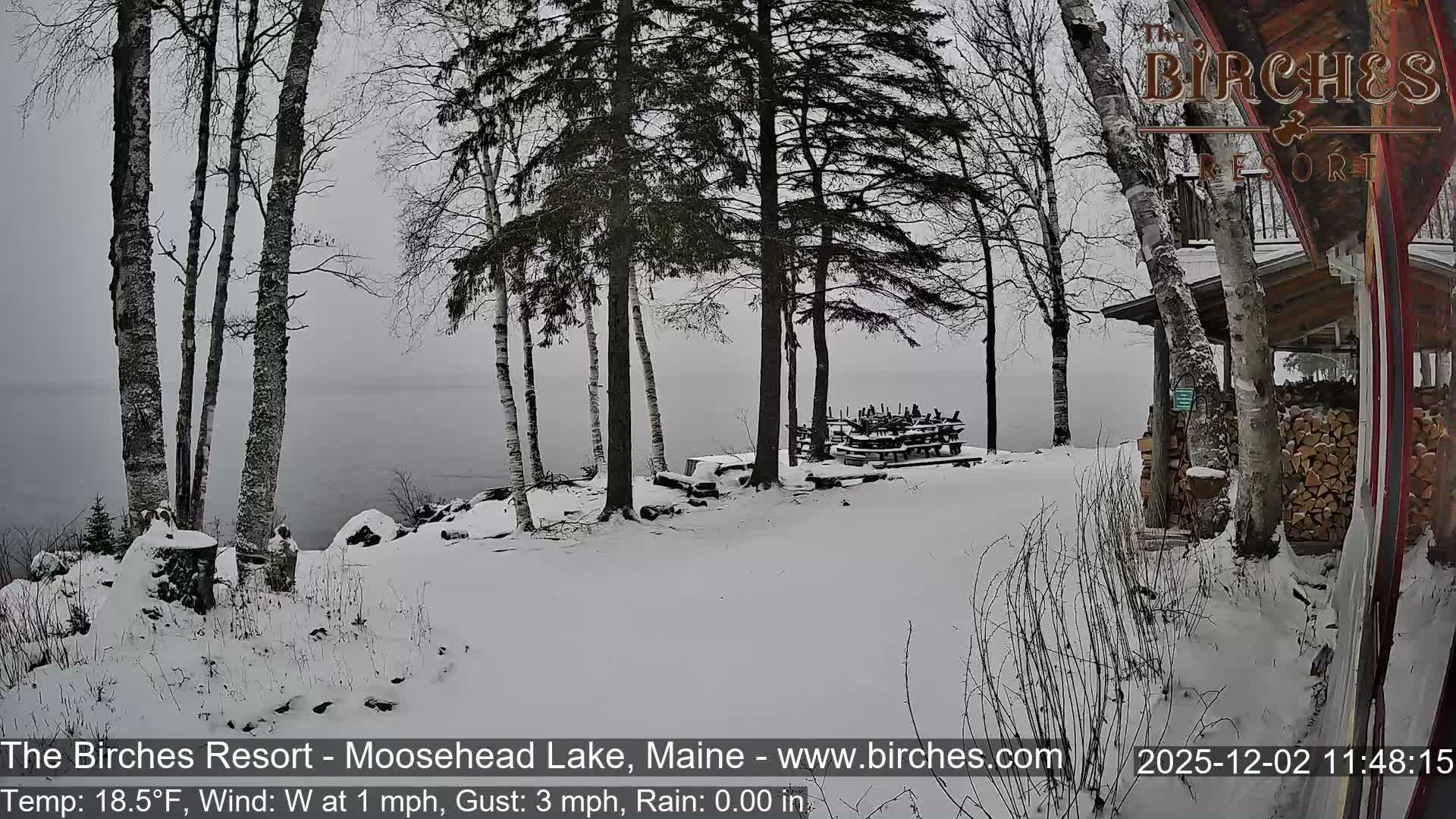 The image depicts a tranquil, snow-covered winter landscape under an overcast gray sky, featuring bare deciduous trees and evergreens lining a calm lake, with stacked picnic tables and a wooden building with a large firewood pile visible on the right.