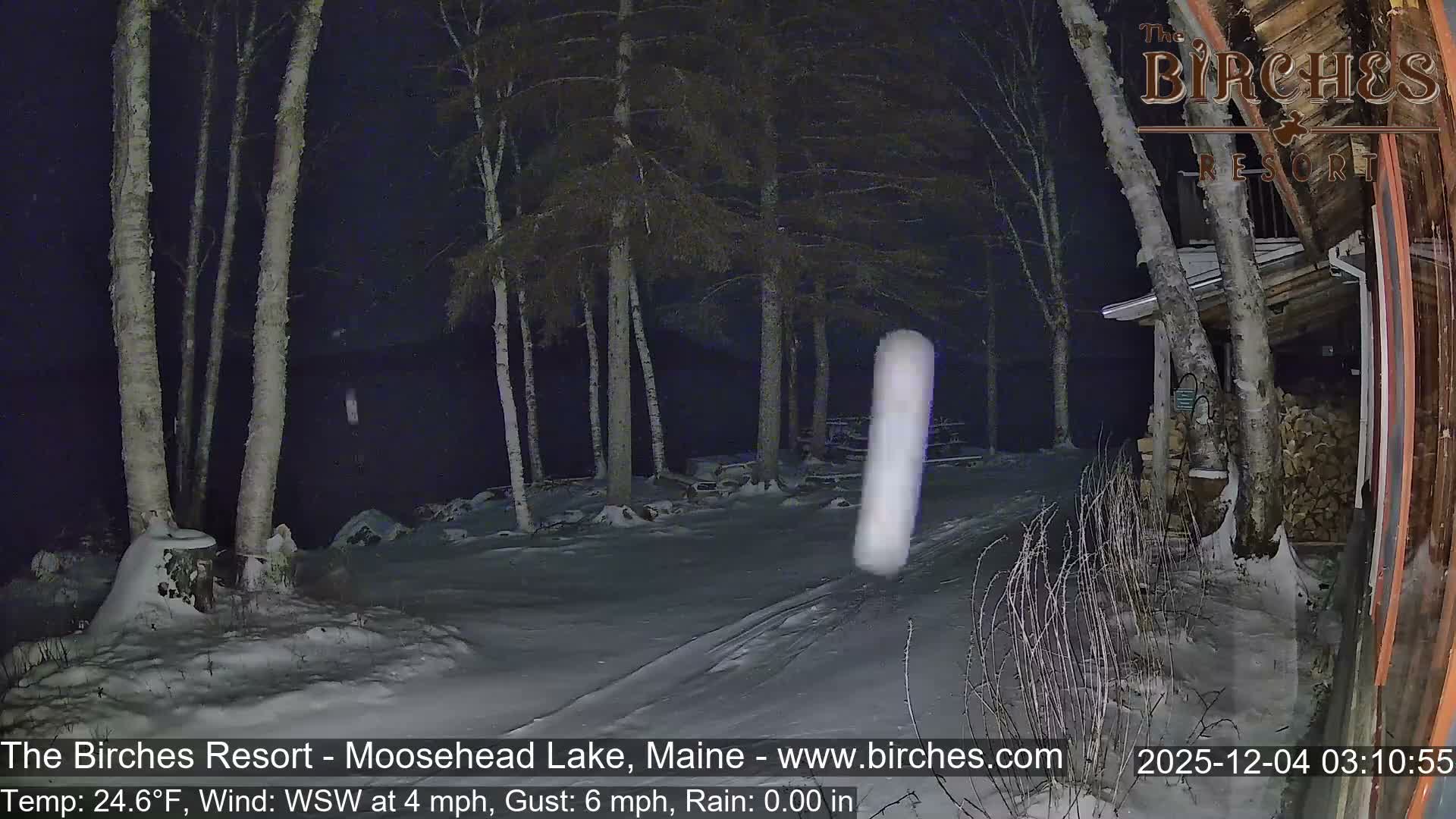 A nighttime winter scene reveals a snow-covered landscape with numerous bare trees leading towards a dark body of water on the left, and a rustic building with a stack of firewood on the right, under clear, cold skies.