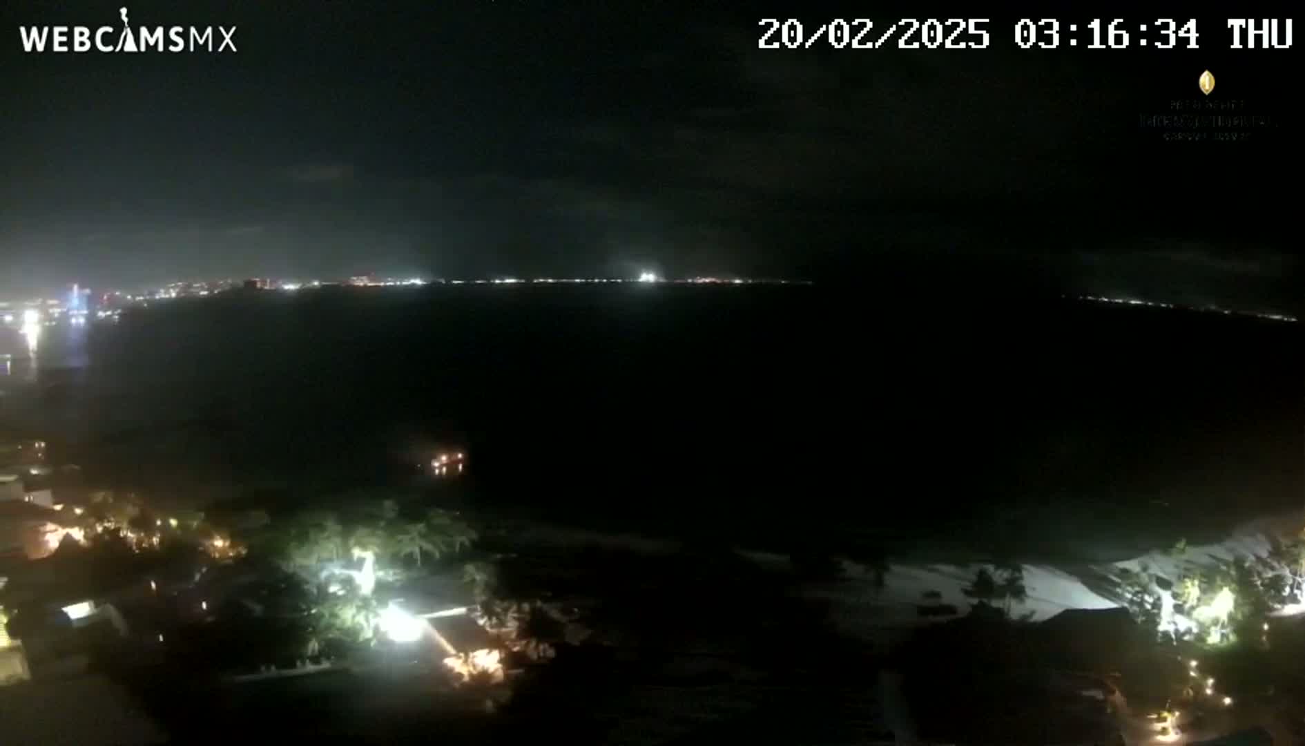 A nighttime view of a coastline shows a dark body of water with a distant city skyline faintly illuminated, under a clear sky.