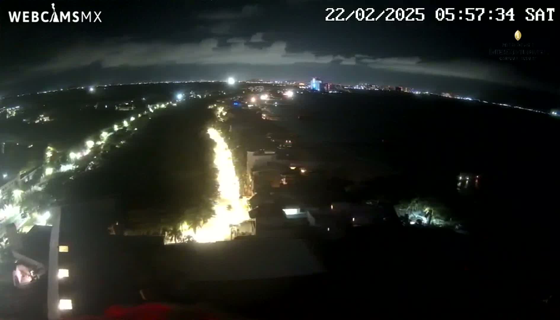 A nighttime aerial view shows a brightly lit road cutting through a dark, tree-lined area, with a city skyline visible in the distance under a mostly clear sky.