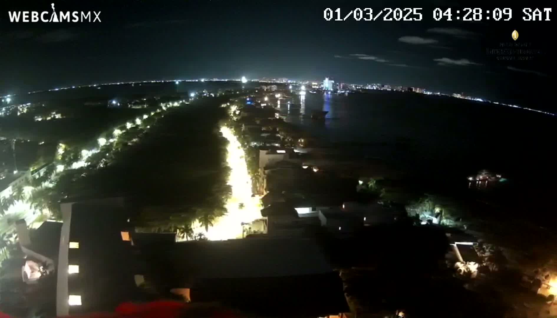 A nighttime aerial view shows a brightly lit road winding through a dark, palm-tree lined area toward a city skyline across a body of water under a clear sky.