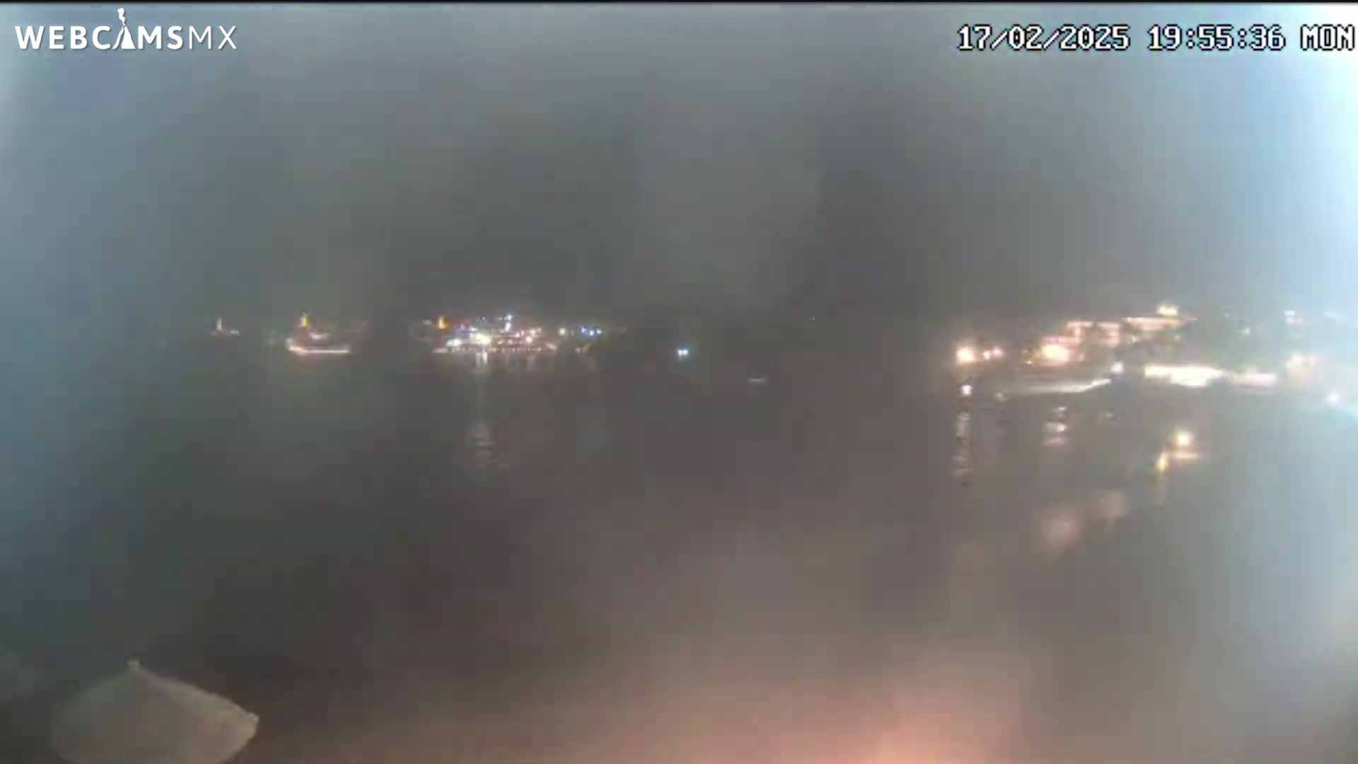 A hazy, nighttime view shows a body of water with faintly visible lights from buildings across the water.