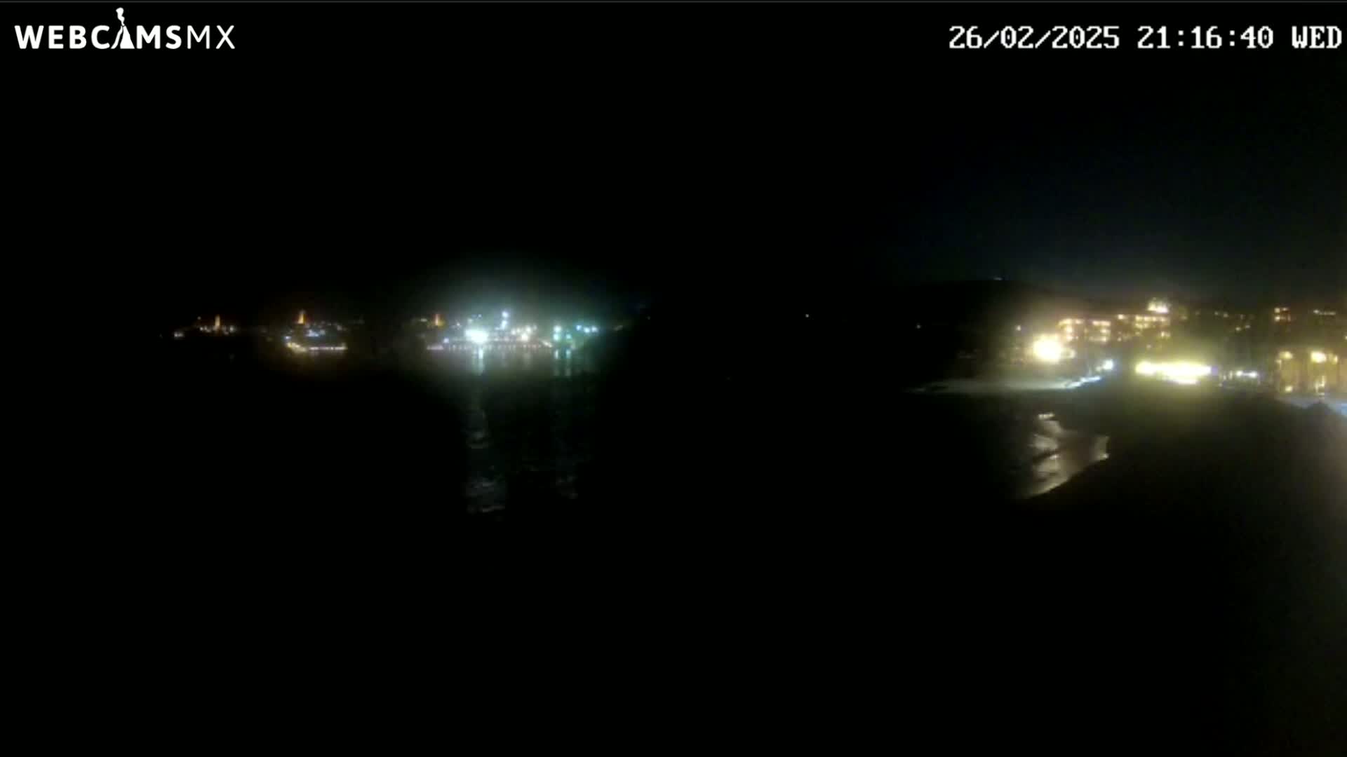 A nighttime, long shot of a dark ocean with faintly visible lights from buildings along a shoreline.