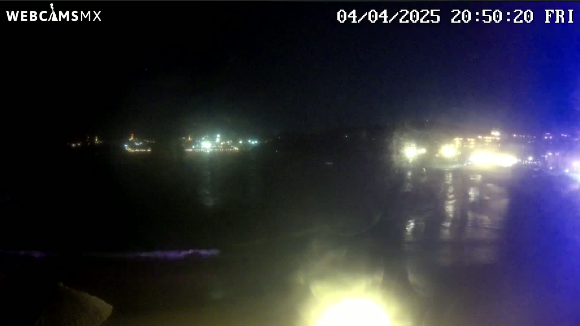 A nighttime coastal scene shows a dark body of water with small waves lapping at the shore, under a slightly hazy sky, with distant city lights visible on the horizon.