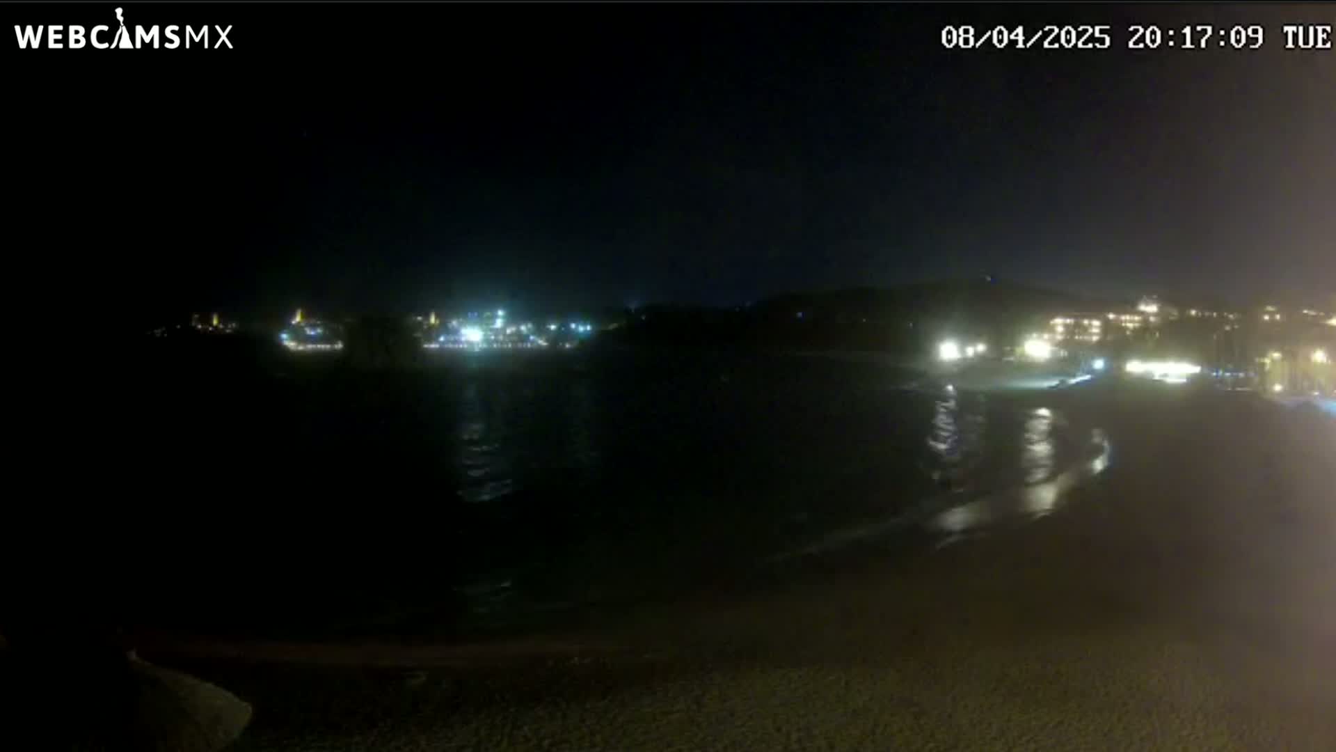 A nighttime view of a dark beach with calm water,  illuminated by distant city lights.