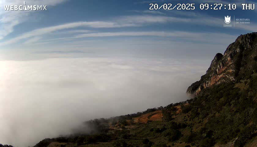 A mountainside covered in low-lying clouds and vegetation overlooks a sea of clouds under a partly cloudy sky.