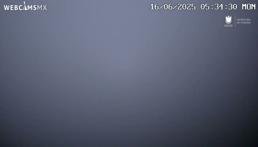 A uniformly gray, foggy scene is visible.