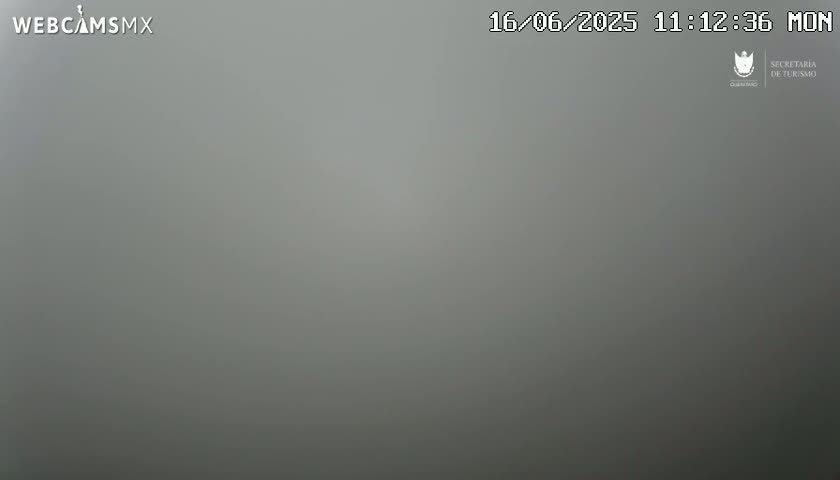 A very foggy or hazy gray scene is visible.