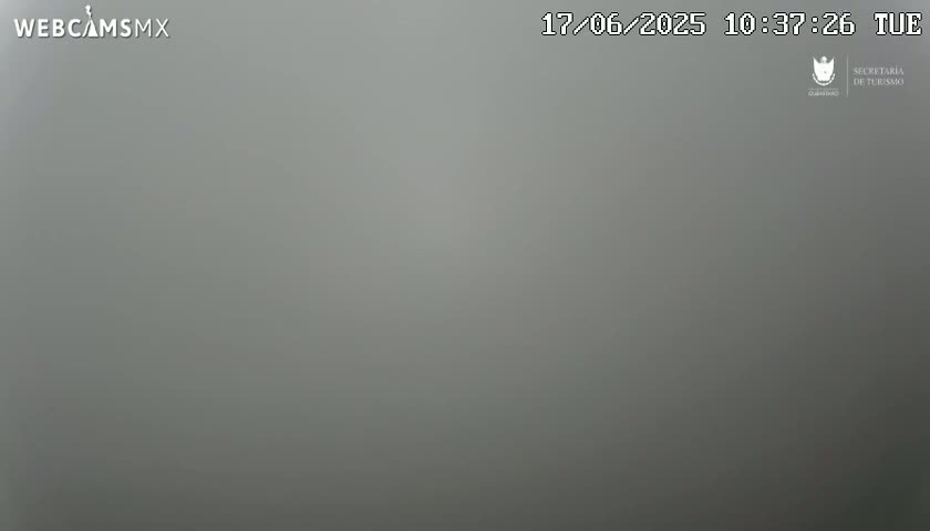 A solid, light-grey image shows heavy fog or mist obscuring any view.
