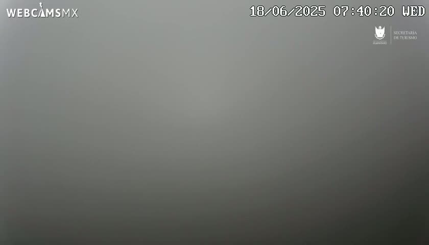 A gray, foggy scene is visible.