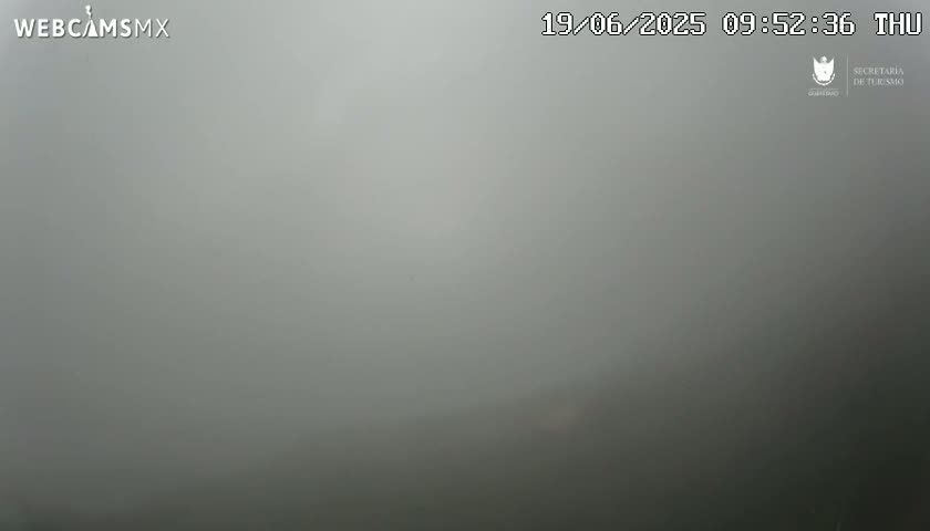 A very foggy or misty outdoor scene is visible, with very low visibility.