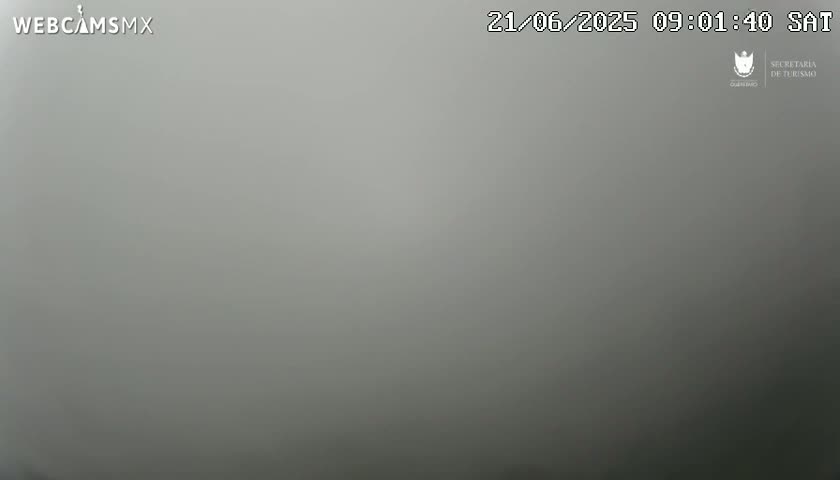 A thick fog obscures the view in an outdoor setting.