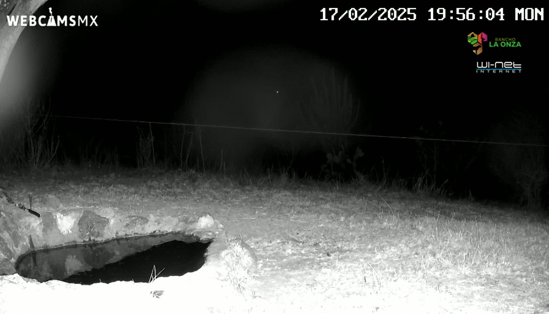 Rancho La Onza. Criadero Cattle Ranch Live Cam - San Luiz de la Paz, Guanajuato, Mexico