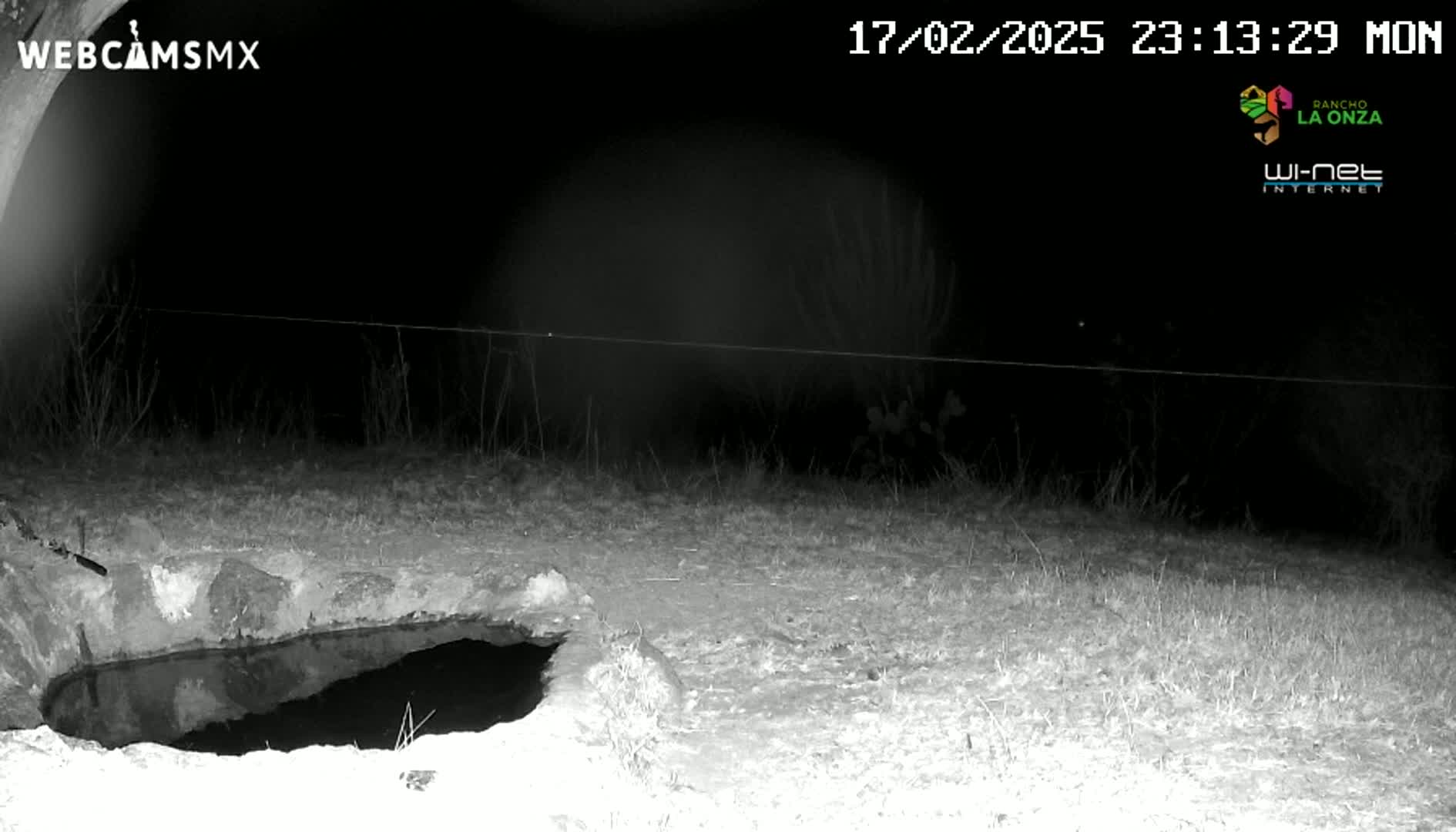A nighttime, black and white image shows a small, dark pool of water nestled into the ground near some sparse vegetation under a dark sky.