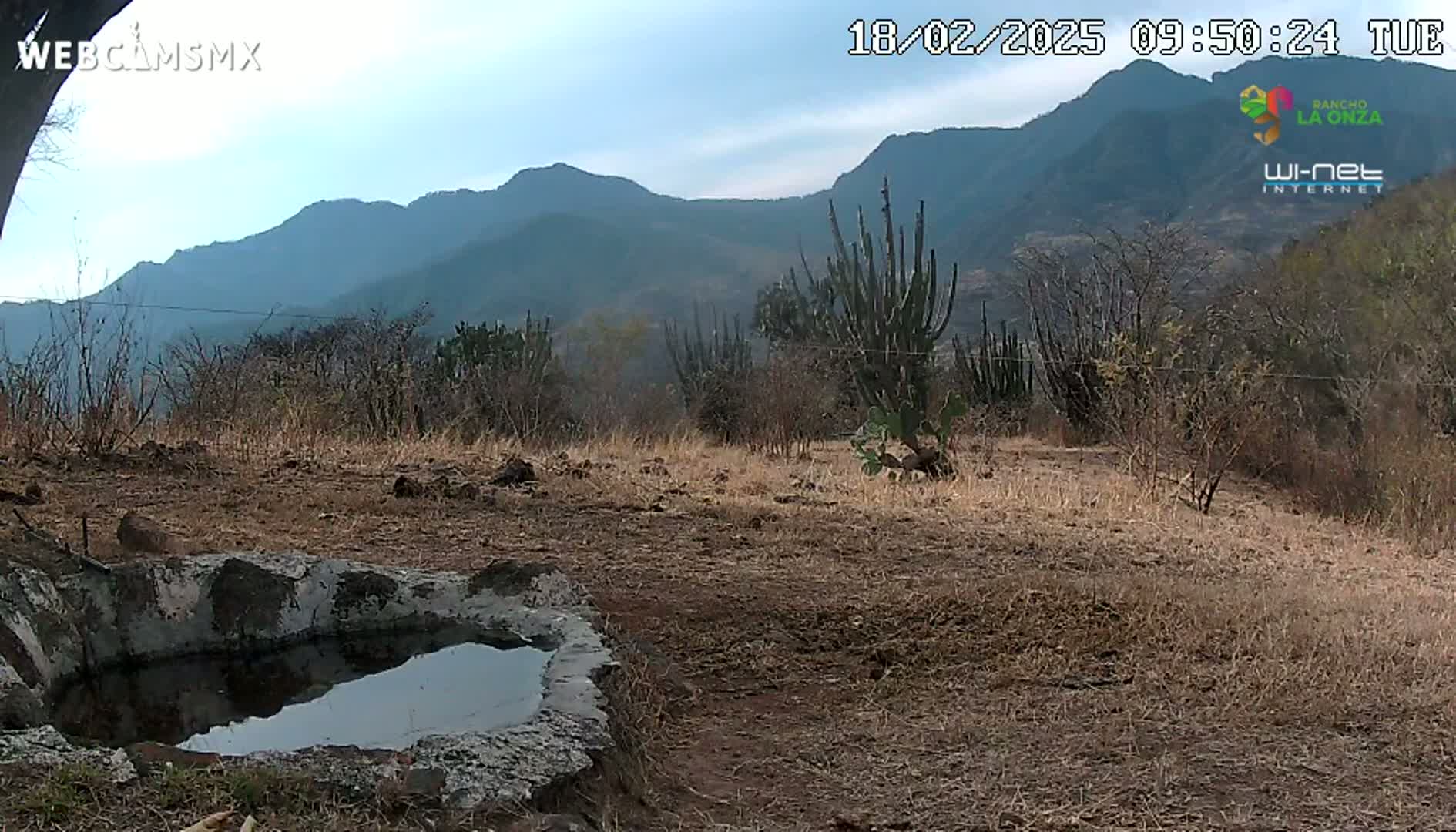 A mostly clear sky overlooks a dry, brown landscape with sparse vegetation, cacti, and distant mountains.
