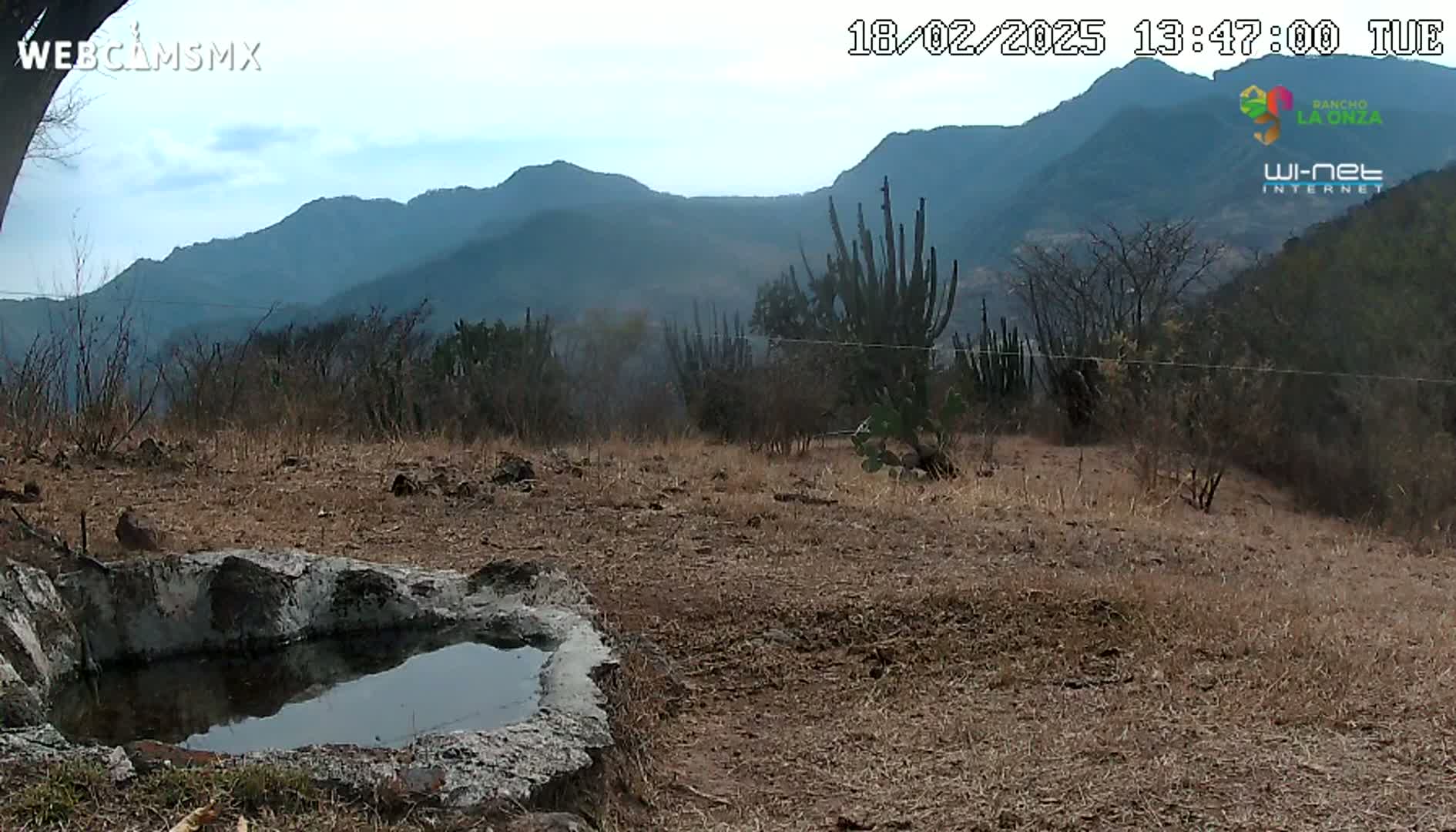 A mostly clear day reveals a rocky, arid landscape with sparse vegetation, including cacti, and a small, still body of water in a stone basin, all set against a backdrop of distant, hazy mountains.