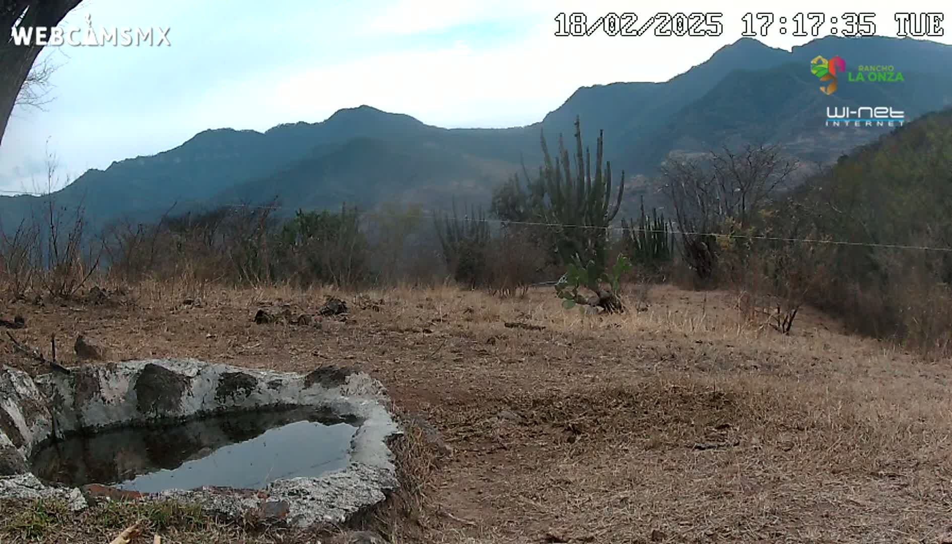 A small, stone water trough sits in a dry, brown field, with cacti and mountains visible in the background under a mostly clear sky.