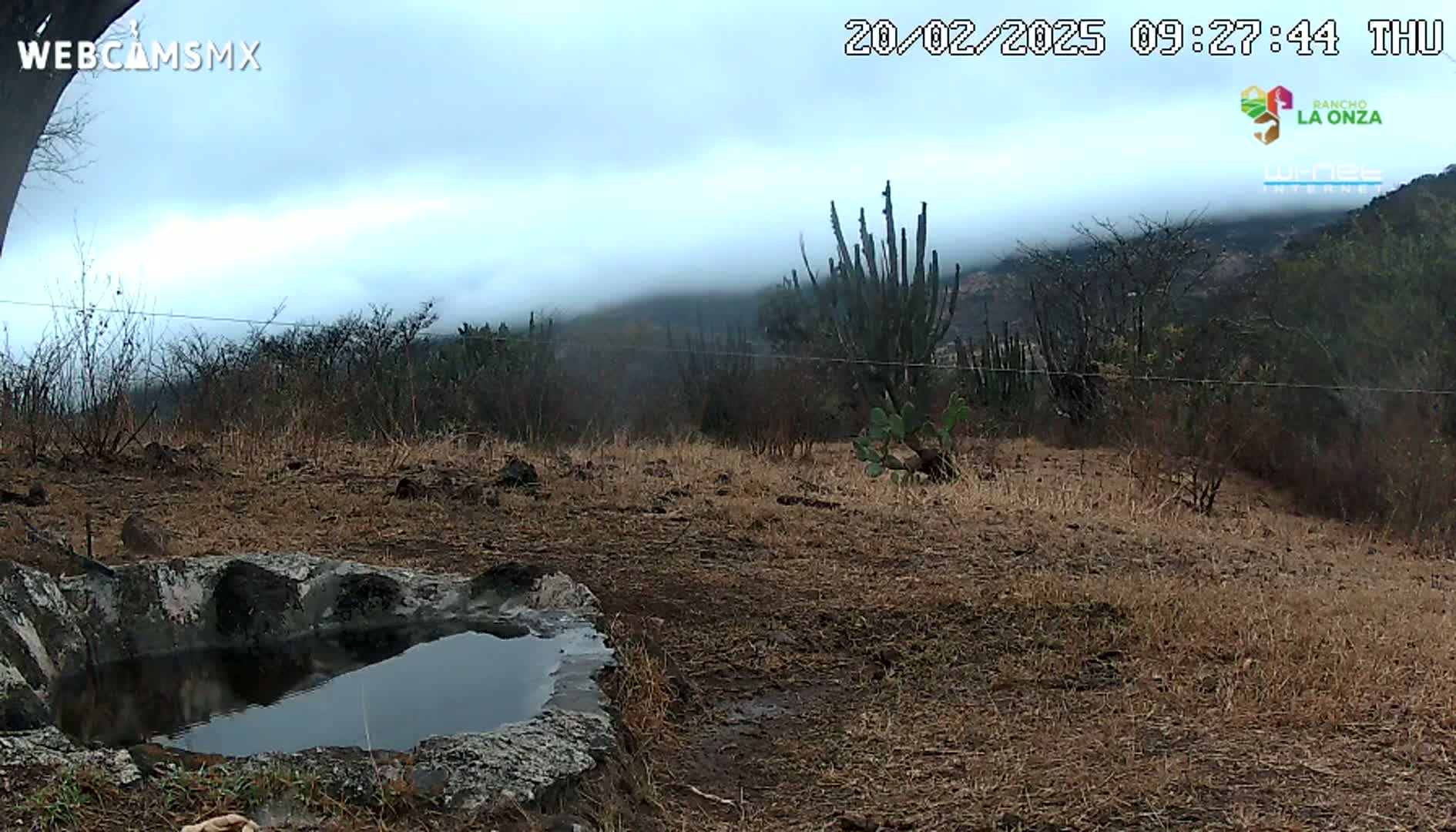 A stone basin containing a small pool of water sits in a dry, brown landscape under a cloudy sky.
