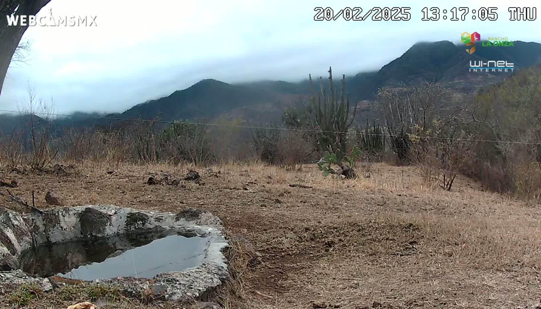 A stone basin containing water sits in a dry, brown field, with mountains shrouded in fog in the background under an overcast sky.