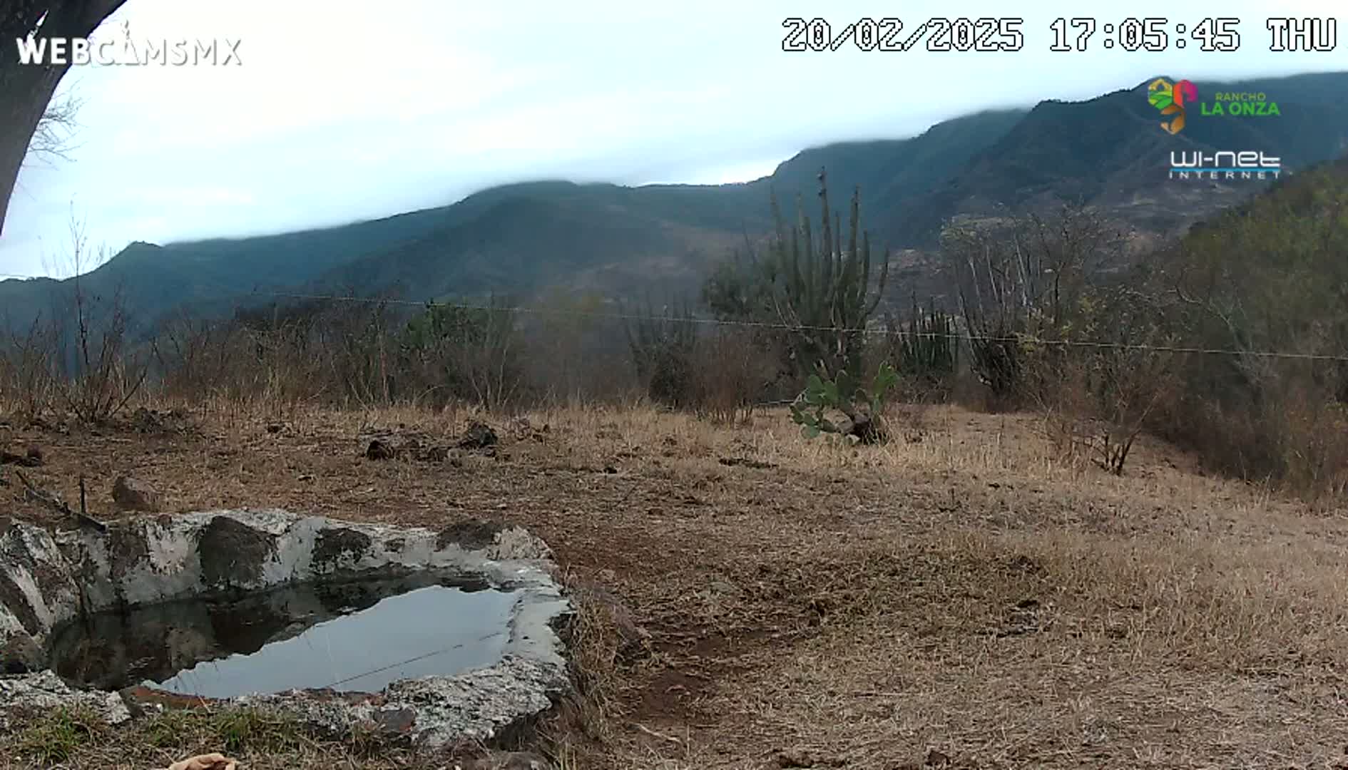 A stone basin containing still water sits in a dry, brown field overlooking a hazy mountain range under an overcast sky.