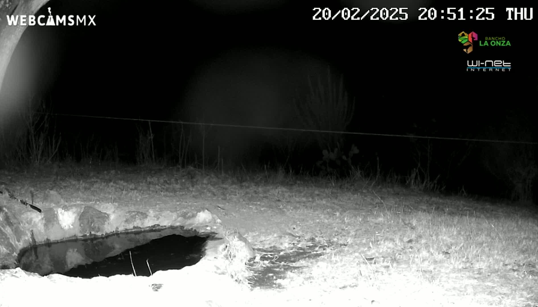 A nighttime, infrared image shows a small, dark pool of water in a stone basin, surrounded by sparse, dry-looking vegetation.