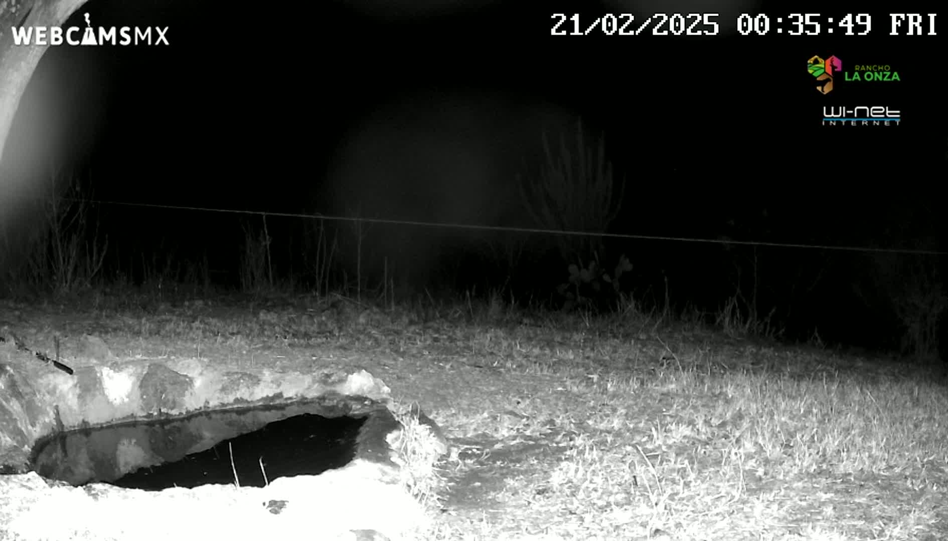 A nighttime, infrared image shows a small, dark pool of water in a shallow, rocky depression in the ground, surrounded by sparse, dry-looking grass.