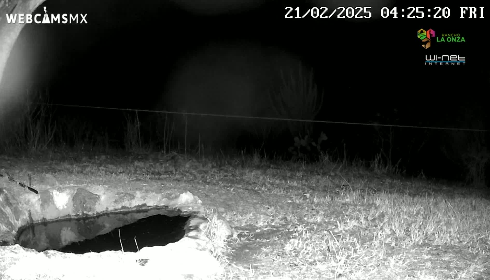 A nighttime, black-and-white image shows a small, dark pool of water in a stone basin, surrounded by sparse, dry grass.