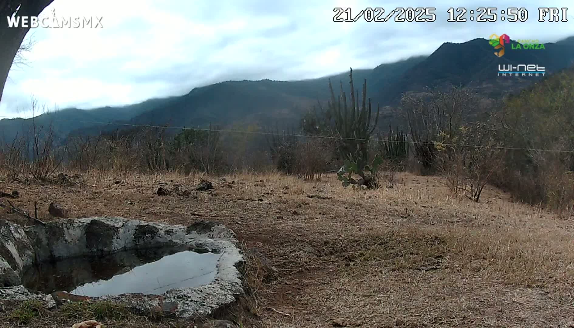 A stone basin containing still water sits in a dry, brown field overlooking a distant mountain range under a cloudy sky.