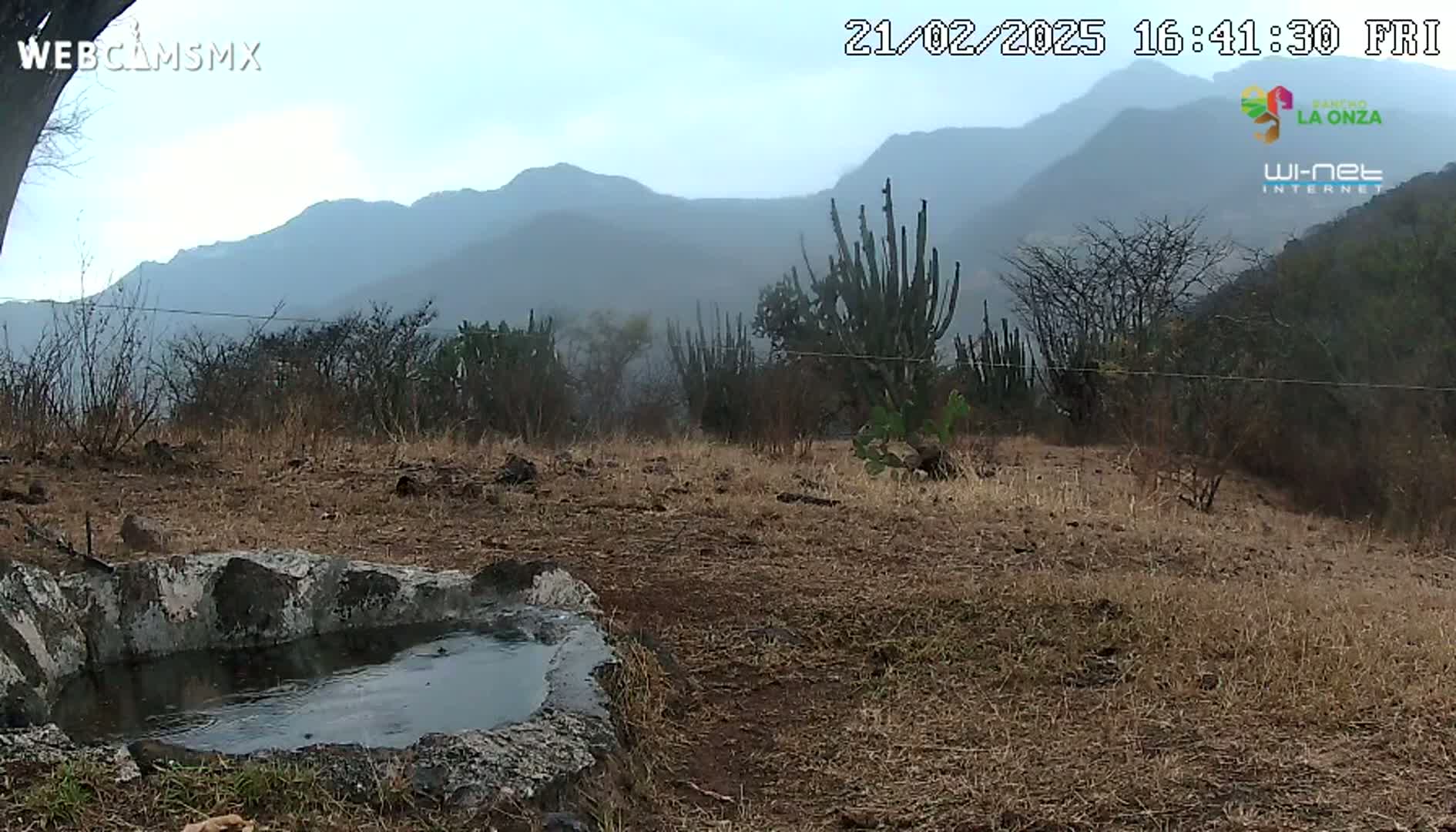 A hazy view of a dry, brown landscape with a stone water trough in the foreground, featuring mountains in the background under an overcast sky.
