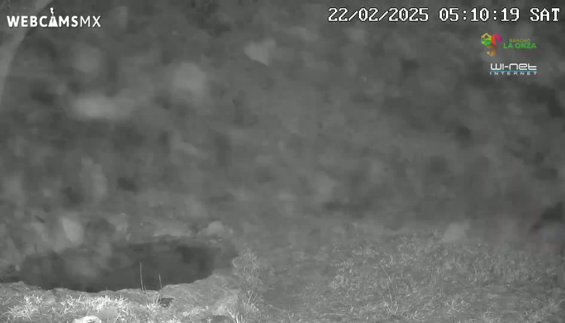 A grainy, black-and-white nighttime image shows a dark opening in the ground, partially obscured by blowing dust or snow.