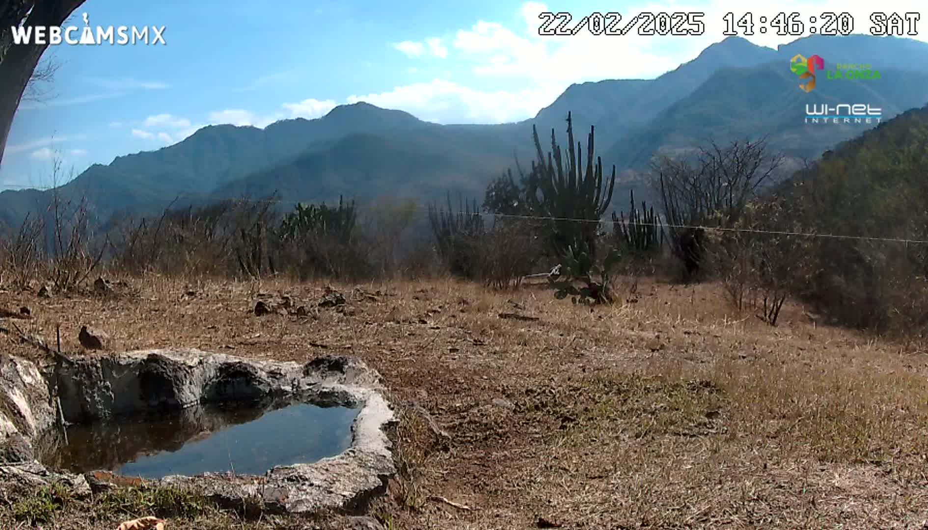 A small stone basin containing still water sits in a dry, brown landscape, with cacti and distant mountains under a mostly clear, sunny sky.