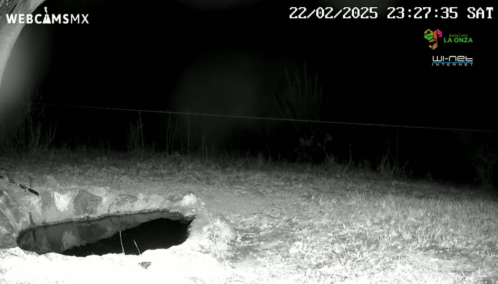A nighttime, grayscale image shows a small, dark pool of water in a stone basin, situated in a grassy area under a dark sky.