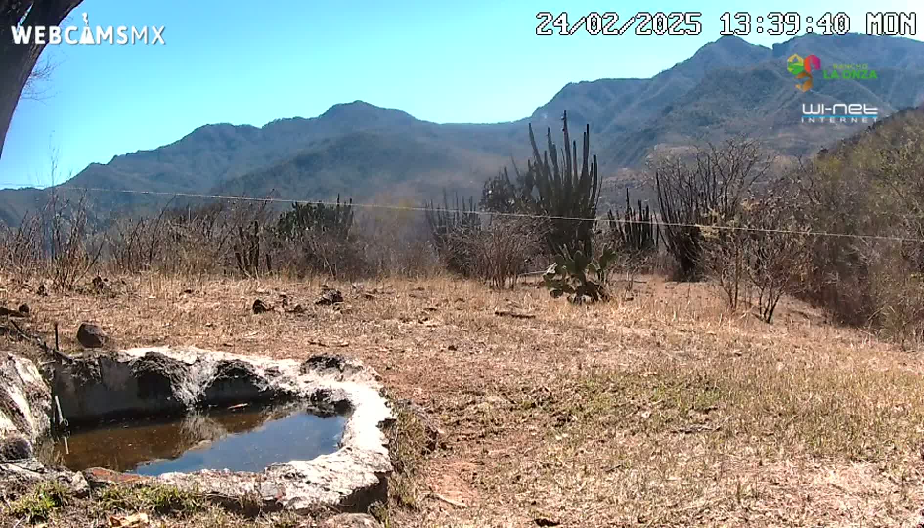 A small, stone-lined pool of water sits in a dry, brown landscape against a backdrop of mountains under a clear blue sky.