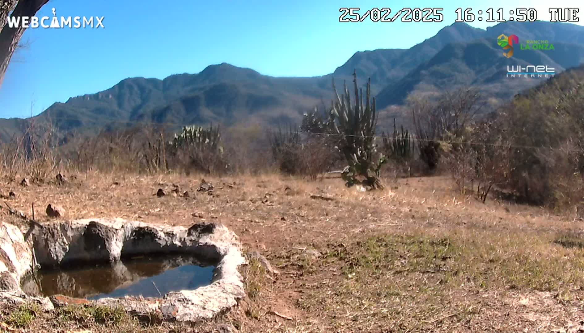 A stone basin containing still water sits in the foreground of a dry, brown landscape with cacti and mountains under a clear blue sky.