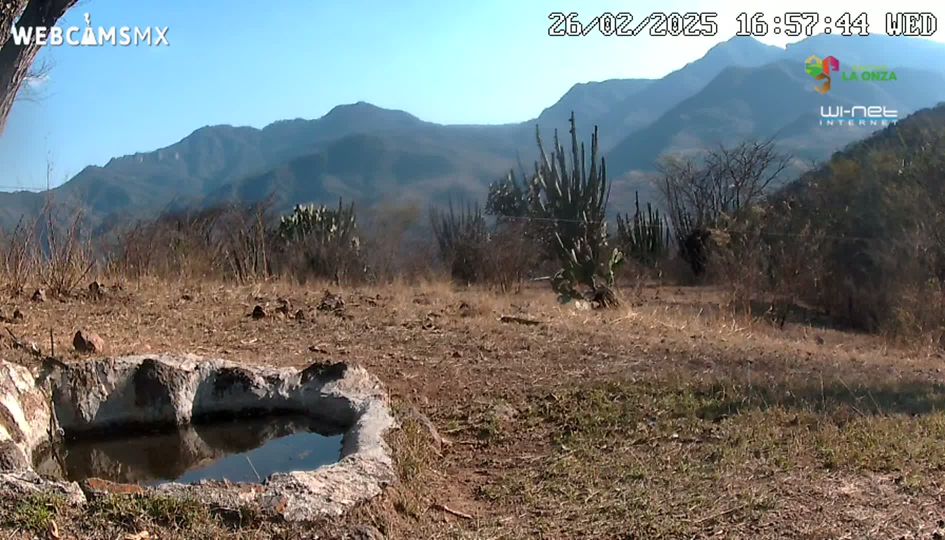 A stone basin containing water sits in a dry, brown landscape under a clear blue sky, with mountains in the background and several cacti in the mid-ground.